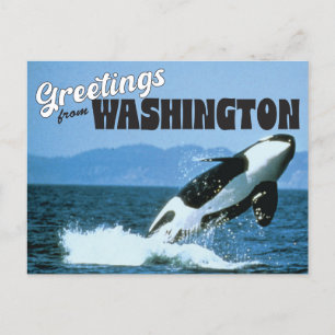 Carte Postale Salutations de Washington State avec Orca Whale