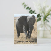Carte Postale salutations d'éléphants kenyans (Debout devant)