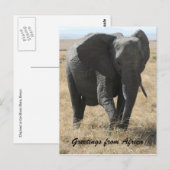 Carte Postale salutations d'éléphants kenyans (Devant / Derrière)