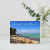 Carte Postale Salutations des Bahamas ! (Debout devant)