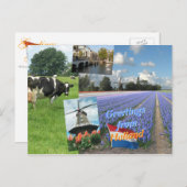 Carte Postale Salutations des Pays-Bas (Devant / Derrière)