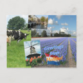 Carte Postale Salutations des Pays-Bas (Devant)