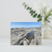 Carte Postale Salutations des Piscines à Marée ! (Debout devant)