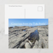 Carte Postale Salutations des Piscines à Marée ! (Devant / Derrière)