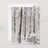 Carte Postale Salutations des Poconos !Bois de Snowy Pocono (Devant / Derrière)