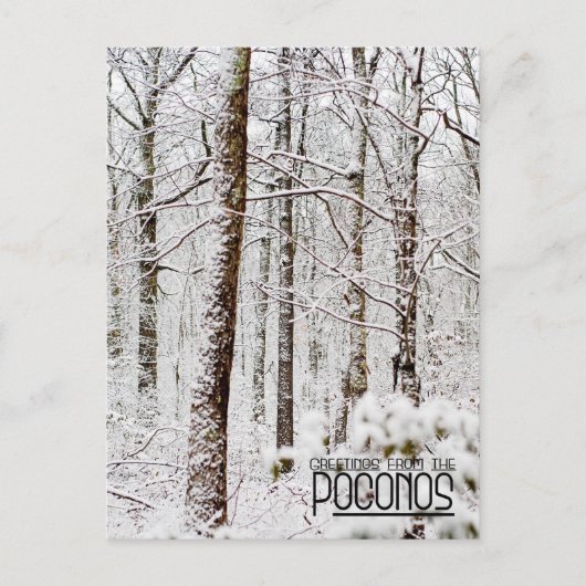 Carte Postale Salutations des Poconos !Bois de Snowy Pocono (Devant)