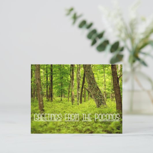 Carte Postale Salutations des Poconos Summer Woods (Debout devant)