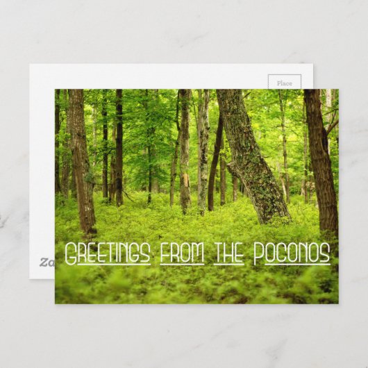 Carte Postale Salutations des Poconos Summer Woods (Devant / Derrière)
