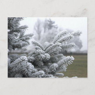 CARTE POSTALE SALUTATIONS D'HIVER