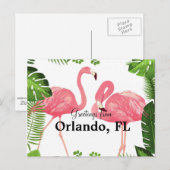 Carte Postale Salutations d'Orlando, FL—flamants roses (Devant / Derrière)