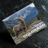 Salutations du Colorado Bighorn sheep