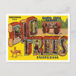 Carte Postale Salutations du comté de Père Noël Cruz, Big Trees 
