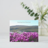 Carte Postale Salutations du Groenland 10 (Debout devant)