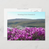 Carte Postale Salutations du Groenland 10 (Devant / Derrière)