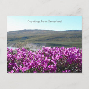 Carte Postale Salutations du Groenland 10
