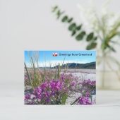 Carte Postale Salutations du Groenland 5 (Debout devant)