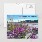 Carte Postale Salutations du Groenland 5 (Devant / Derrière)