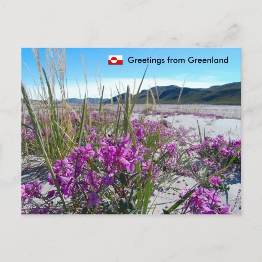 Carte Postale Salutations du Groenland 5 (Devant)