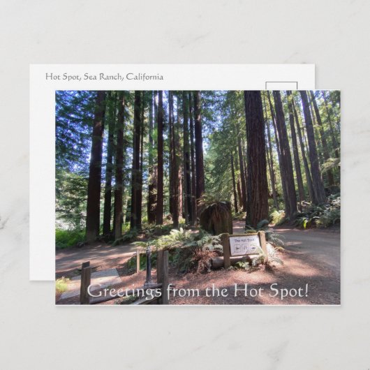 Carte Postale Salutations du Hot Spot ! (Devant / Derrière)
