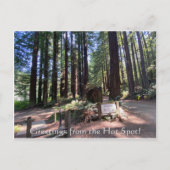 Carte Postale Salutations du Hot Spot ! (Devant)