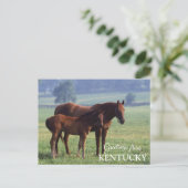 Carte Postale salutations du Kentucky (Debout devant)