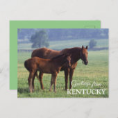 Carte Postale salutations du Kentucky (Devant / Derrière)