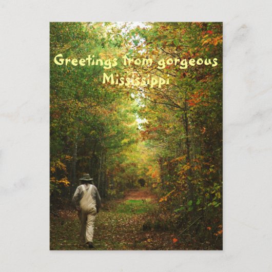 Carte Postale Salutations du Mississippi (Devant)