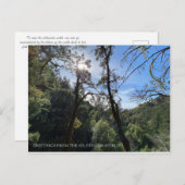 CARTE POSTALE SALUTATIONS DU MONDE DE LA SAUVAGE ! (Devant / Derrière)