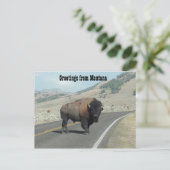 Carte Postale Salutations du Montana (Debout devant)