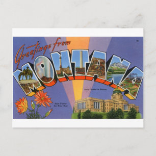 Carte Postale Salutations Du Montana