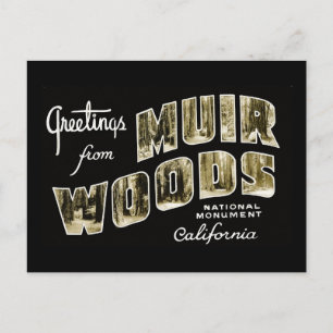 Carte Postale Salutations du monument national de Muir Woods