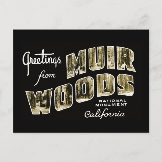 Carte Postale Salutations du monument national de Muir Woods (Devant)