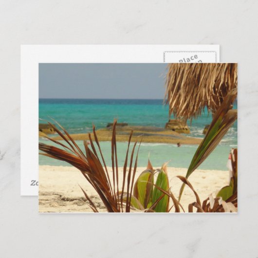 Carte Postale Salutations du paradis ! (Devant / Derrière)