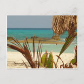 Carte Postale Salutations du paradis ! (Devant)