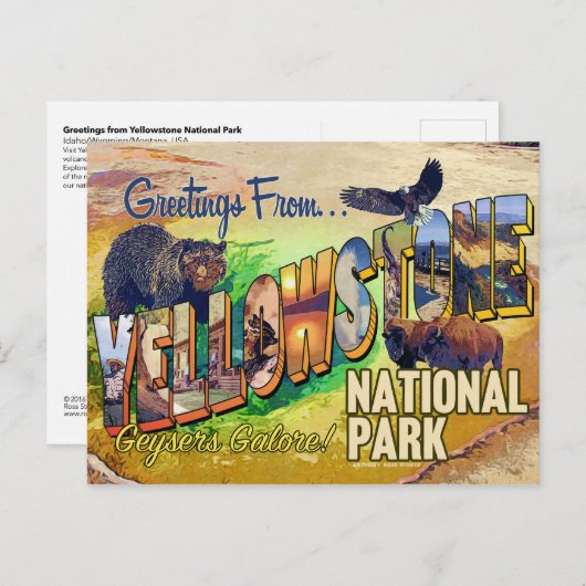 Carte Postale Salutations du parc national Yellowstone (Devant / Derrière)