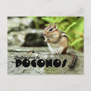 Carte Postale Salutations du Poconos Mischievous Chipmunk