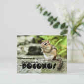 Carte Postale Salutations du Poconos Mischievous Chipmunk (Debout devant)