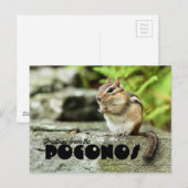 Carte Postale Salutations du Poconos Mischievous Chipmunk (Devant / Derrière)