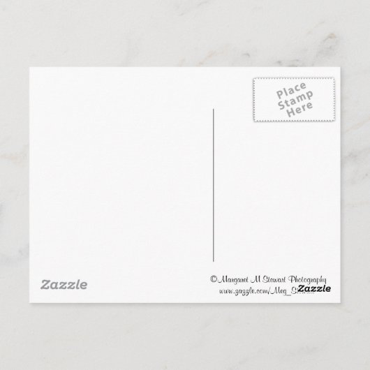 Carte Postale Salutations du Poconos Mountain Laurel (Dos)