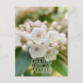 Carte Postale Salutations du Poconos Mountain Laurel (Devant)