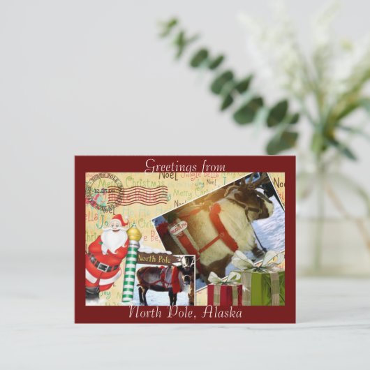 Carte Postale Salutations Du Pôle Nord, Alaska (Debout devant)