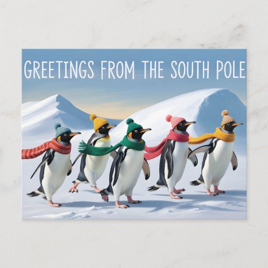 Carte Postale "Salutations du pôle Sud" Conception de manchot (Devant)