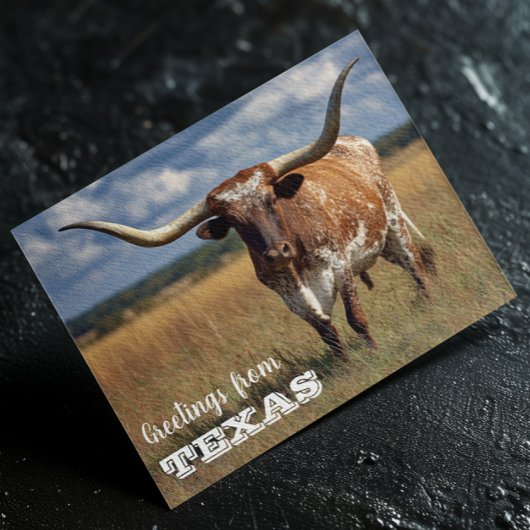 Carte Postale Salutations du taureau Texas Longhorn