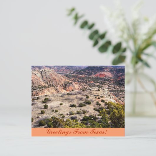 Carte Postale Salutations Du Texas ! (Debout devant)