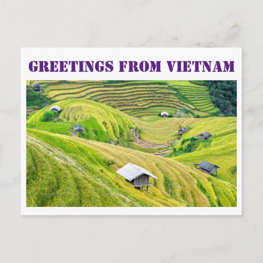 Carte Postale Salutations du Vietnam (Devant)