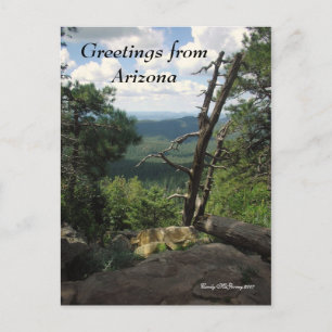 Carte Postale Salutations en Arizona