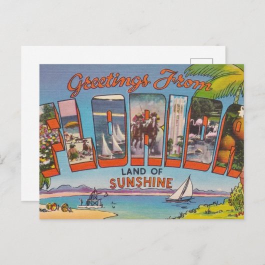 Carte Postale Salutations en Floride (Devant / Derrière)