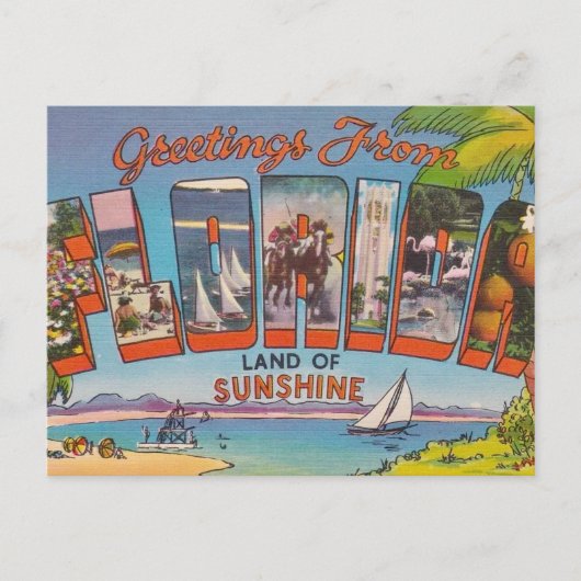Carte Postale Salutations en Floride (Devant)