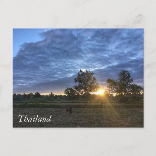 Carte Postale Salutations en Thaïlande (Devant)