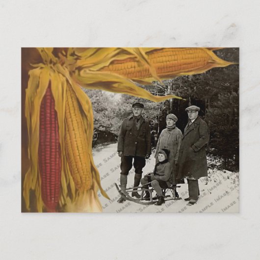 Carte postale Salutations Photo Thanksgiving (Devant)